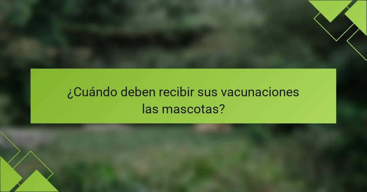 ¿Cuándo deben recibir sus vacunaciones las mascotas?
