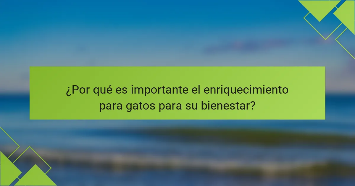 ¿Por qué es importante el enriquecimiento para gatos para su bienestar?