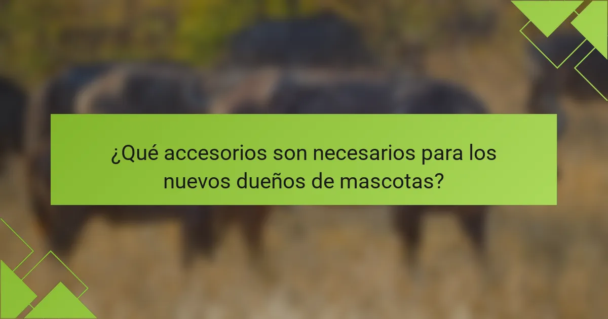 ¿Qué accesorios son necesarios para los nuevos dueños de mascotas?
