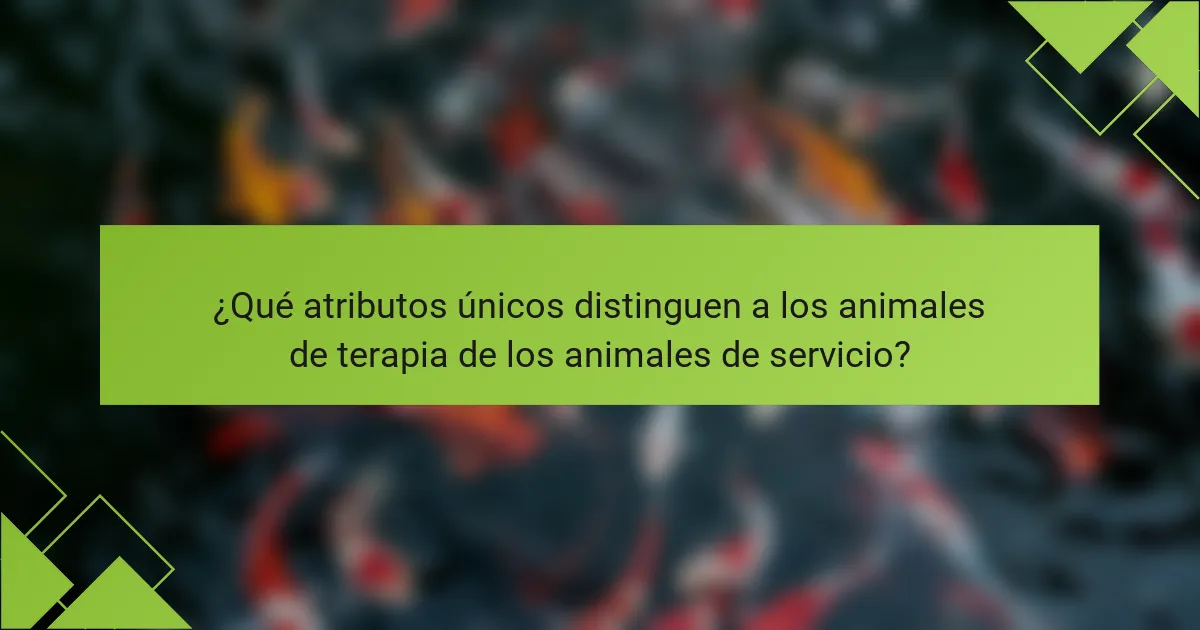 ¿Qué atributos únicos distinguen a los animales de terapia de los animales de servicio?