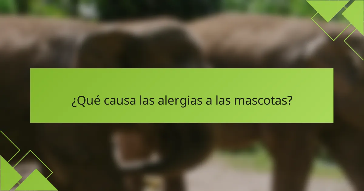 ¿Qué causa las alergias a las mascotas?