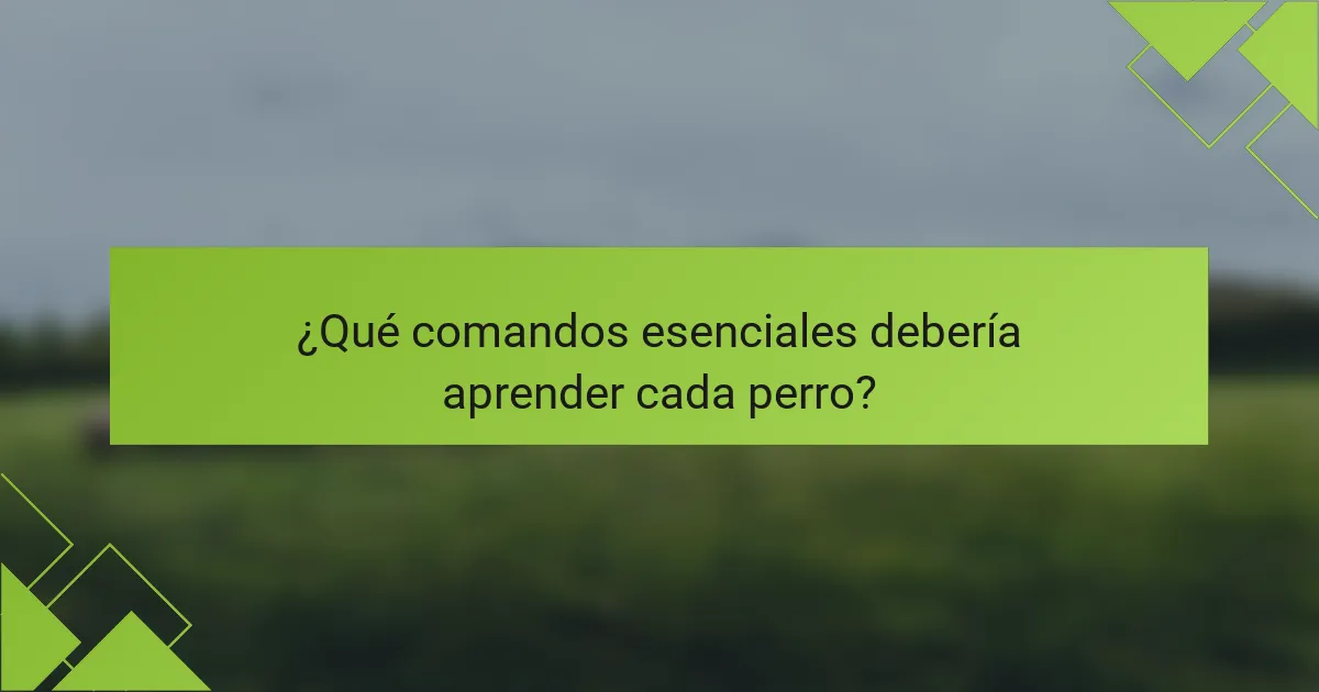 ¿Qué comandos esenciales debería aprender cada perro?