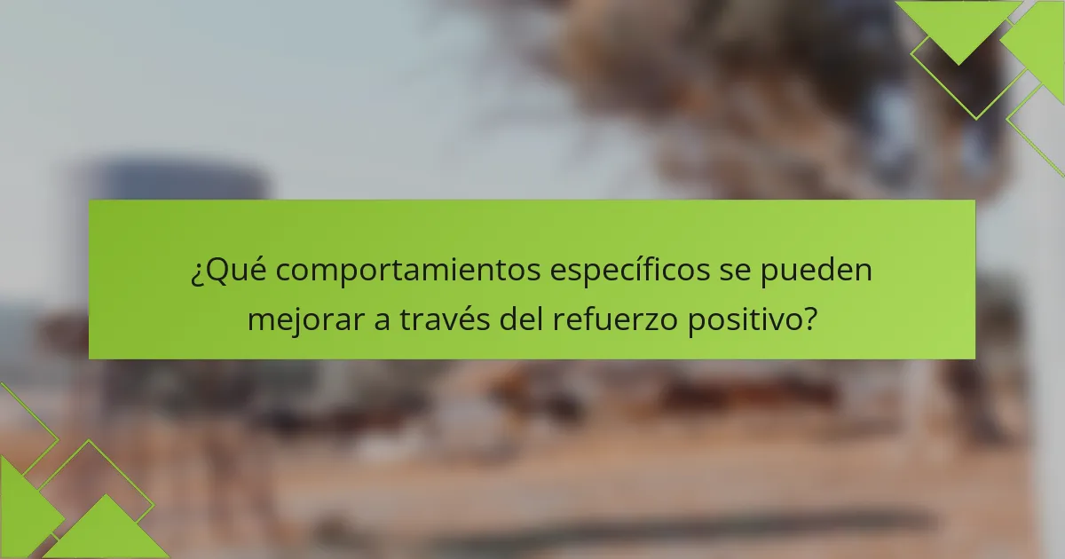 ¿Qué comportamientos específicos se pueden mejorar a través del refuerzo positivo?