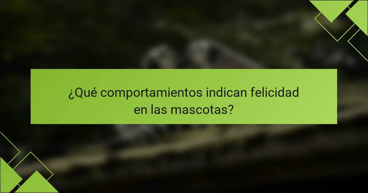 ¿Qué comportamientos indican felicidad en las mascotas?