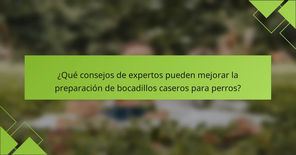 ¿Qué consejos de expertos pueden mejorar la preparación de bocadillos caseros para perros?