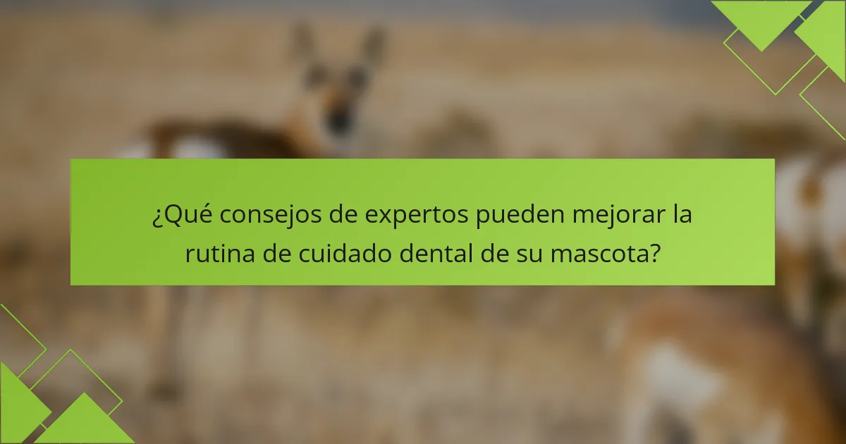 ¿Qué consejos de expertos pueden mejorar la rutina de cuidado dental de su mascota?