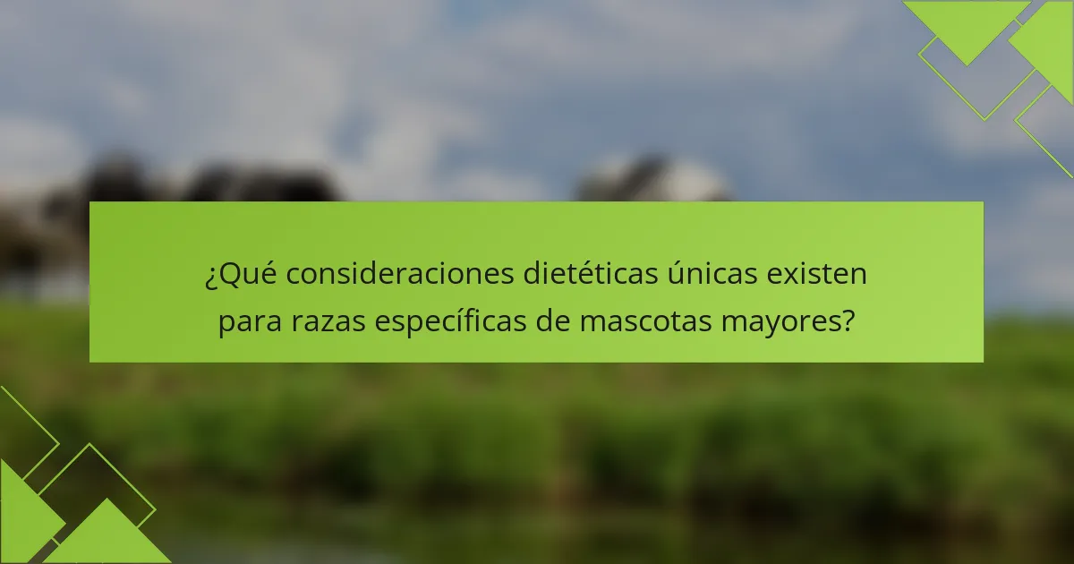 ¿Qué consideraciones dietéticas únicas existen para razas específicas de mascotas mayores?