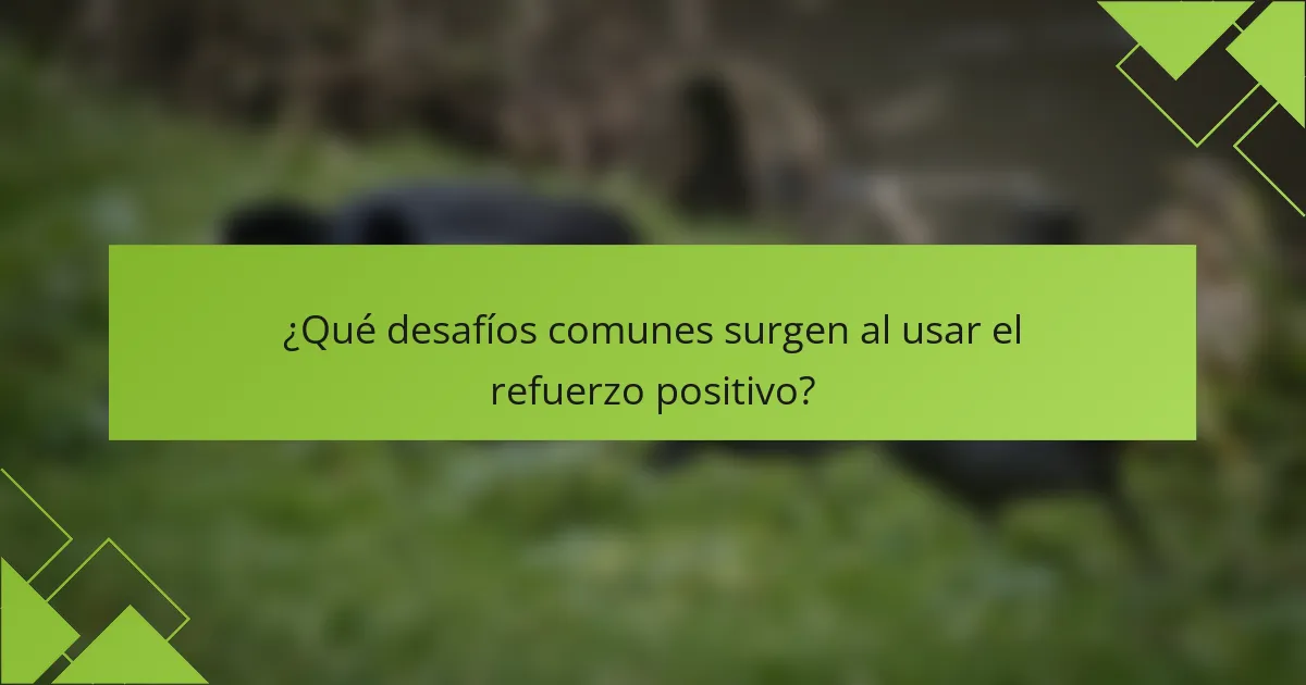 ¿Qué desafíos comunes surgen al usar el refuerzo positivo?