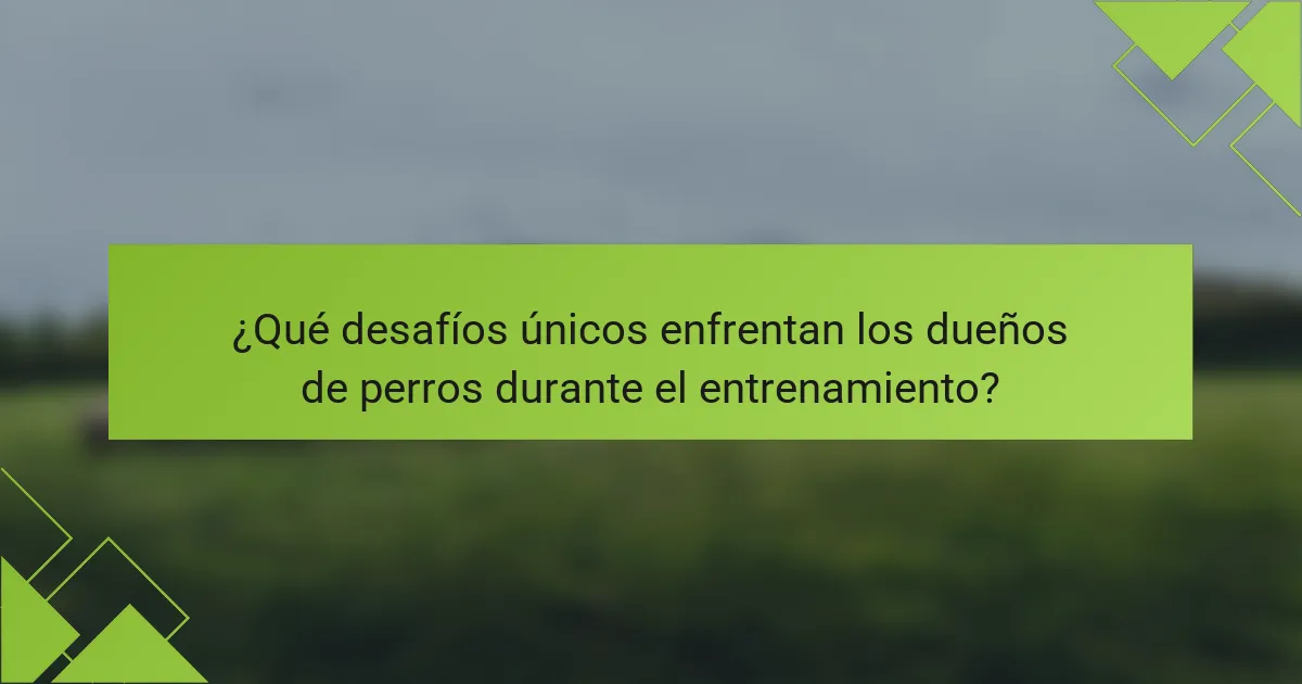 ¿Qué desafíos únicos enfrentan los dueños de perros durante el entrenamiento?