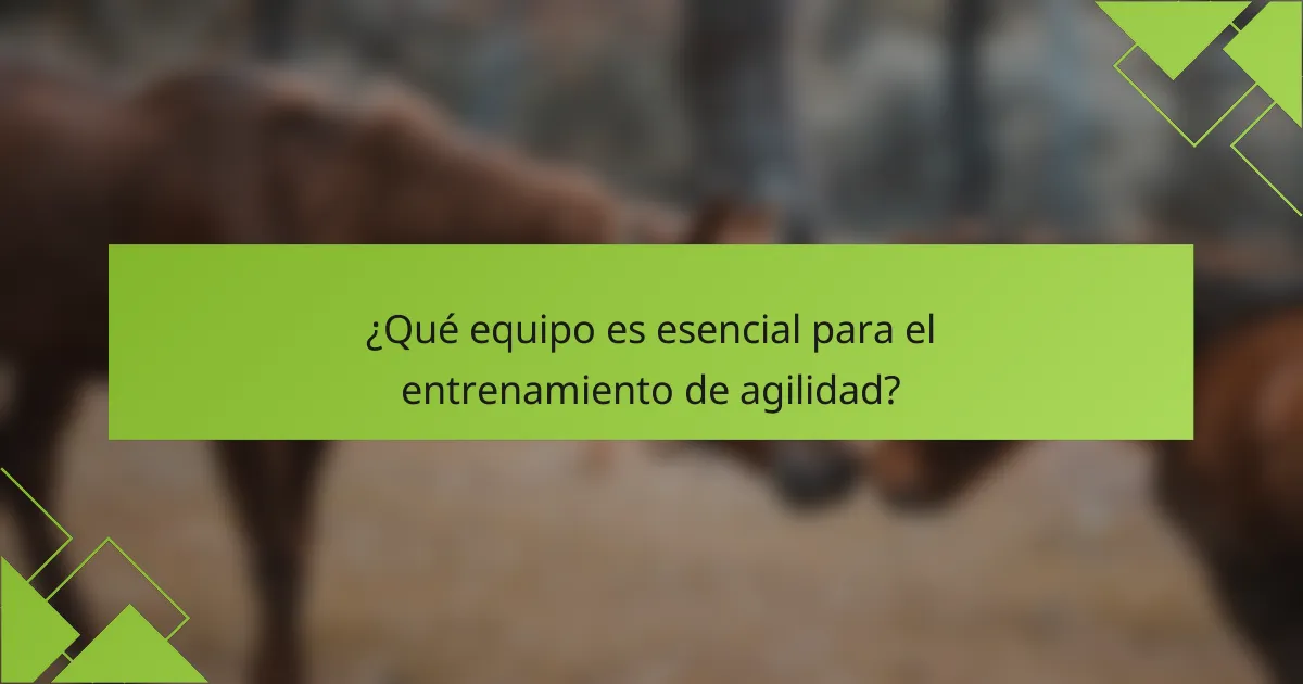 ¿Qué equipo es esencial para el entrenamiento de agilidad?