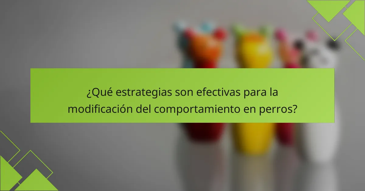 ¿Qué estrategias son efectivas para la modificación del comportamiento en perros?