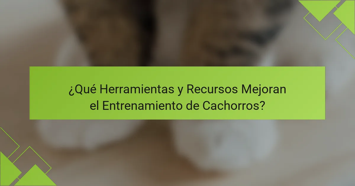 ¿Qué Herramientas y Recursos Mejoran el Entrenamiento de Cachorros?