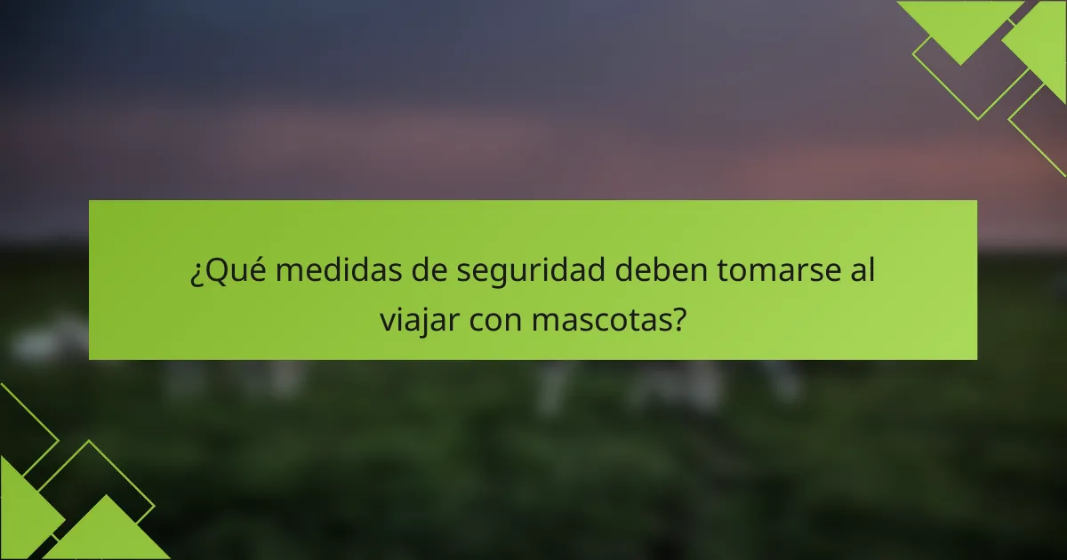 ¿Qué medidas de seguridad deben tomarse al viajar con mascotas?