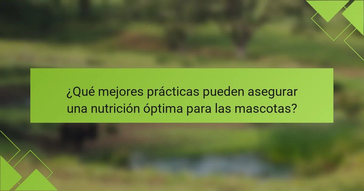 ¿Qué mejores prácticas pueden asegurar una nutrición óptima para las mascotas?