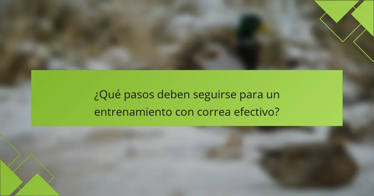 ¿Qué pasos deben seguirse para un entrenamiento con correa efectivo?