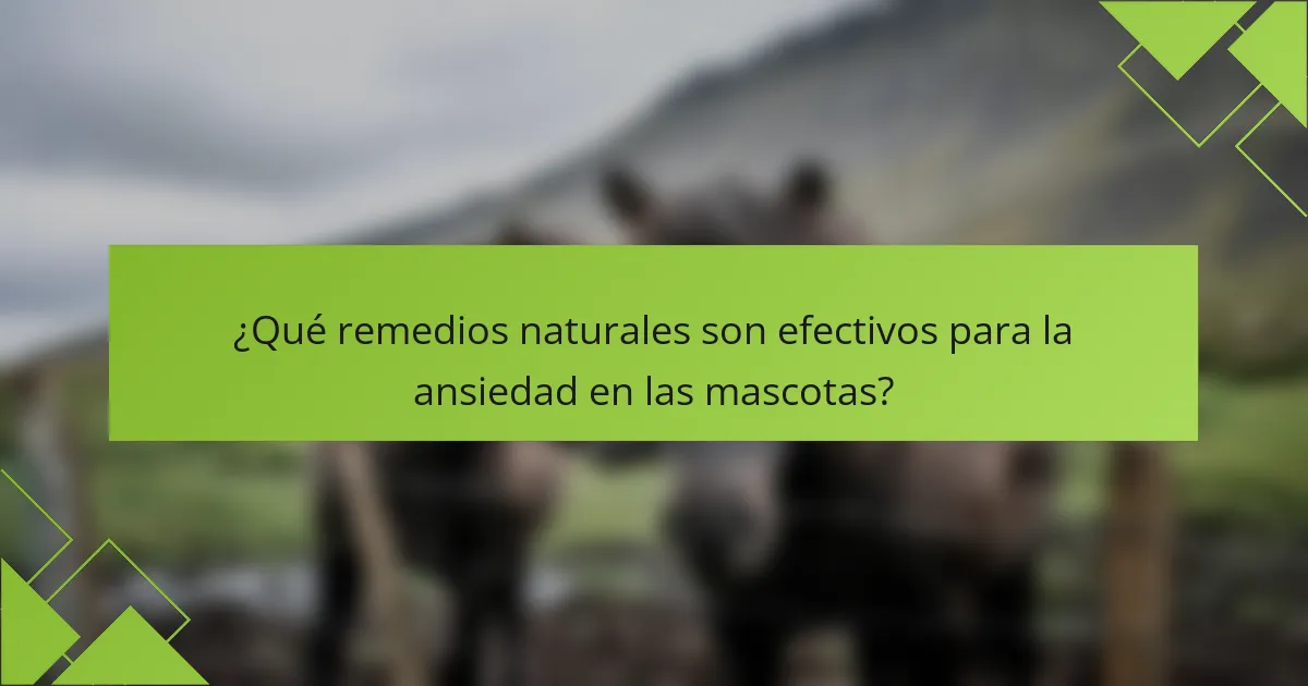 ¿Qué remedios naturales son efectivos para la ansiedad en las mascotas?