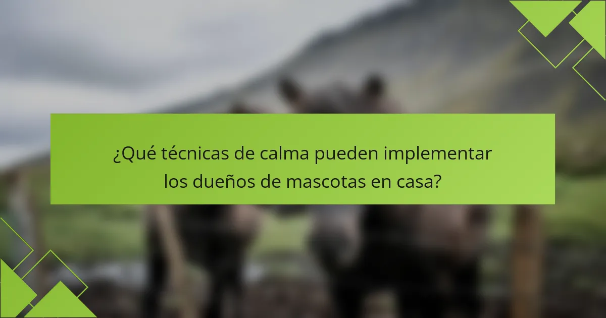 ¿Qué técnicas de calma pueden implementar los dueños de mascotas en casa?