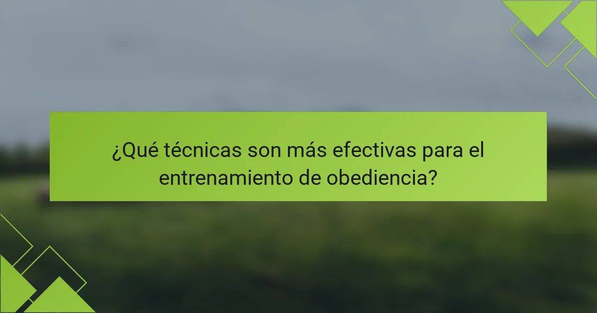 ¿Qué técnicas son más efectivas para el entrenamiento de obediencia?