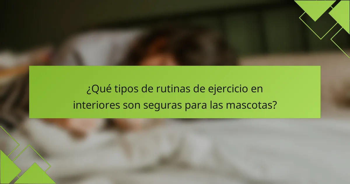 ¿Qué tipos de rutinas de ejercicio en interiores son seguras para las mascotas?